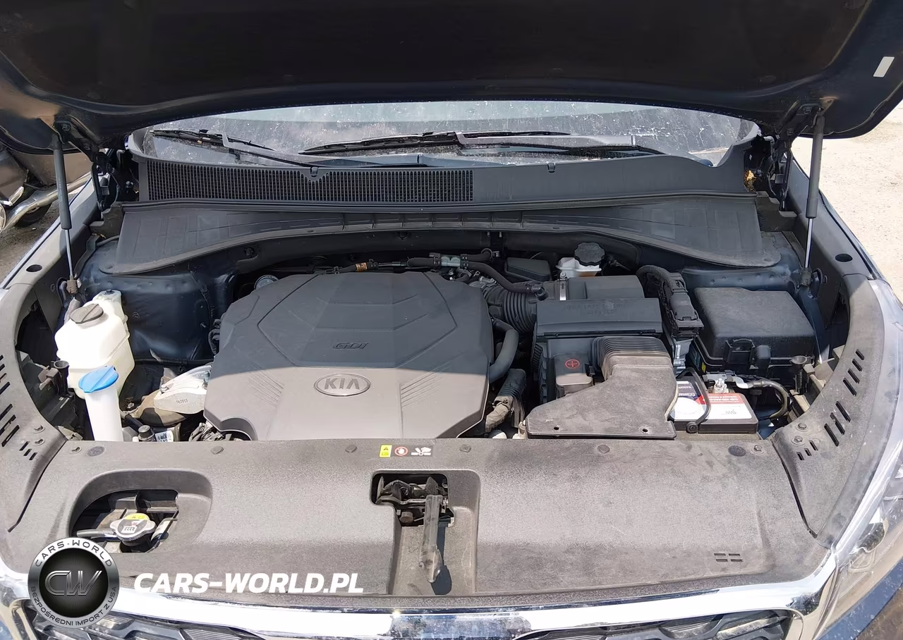 2019 Kia Sorento 3.3L Lx VIN:5XYPGDA54KG550374 - 10