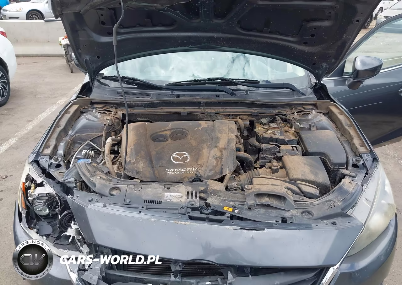2014 Mazda Mazda3 I Touring VIN:JM1BM1L72E1110626 - 10