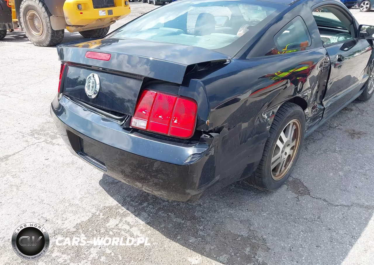 2005 Ford Mustang V6 Deluxe-V6 Premium VIN:1ZVHT80N555241726 - 17