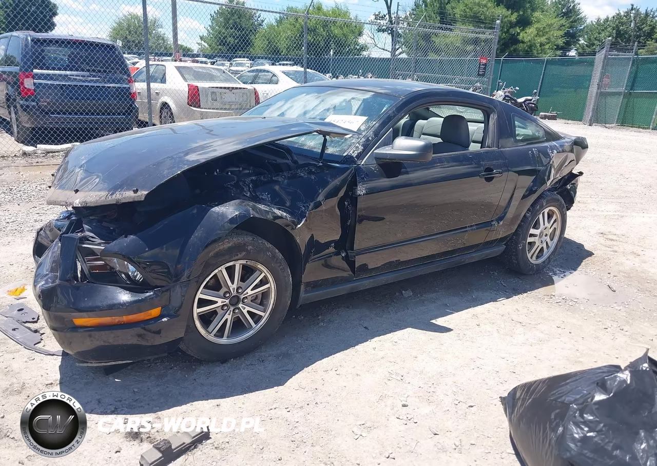 2005 Ford Mustang V6 Deluxe-V6 Premium VIN:1ZVHT80N555241726 - 2