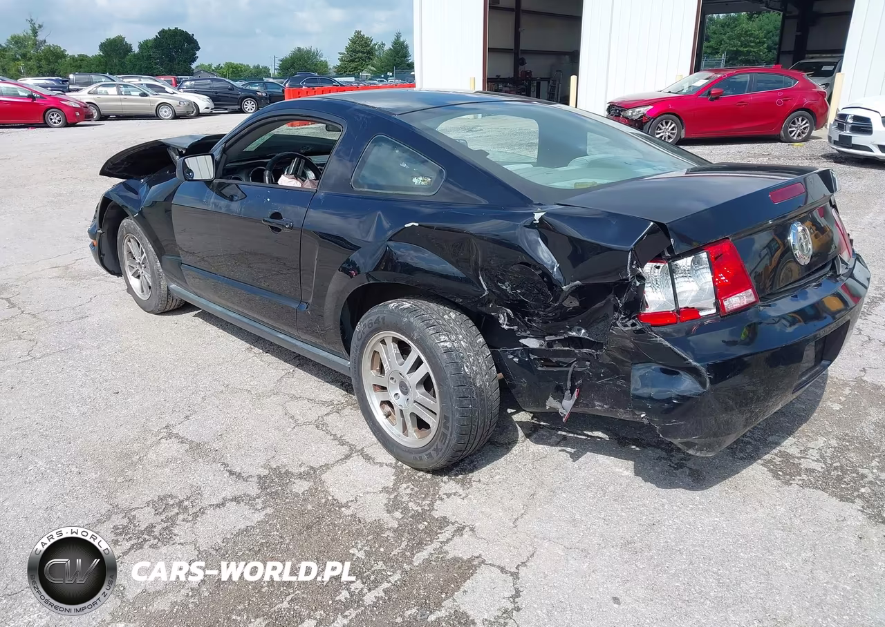 2005 Ford Mustang V6 Deluxe-V6 Premium VIN:1ZVHT80N555241726 - 3
