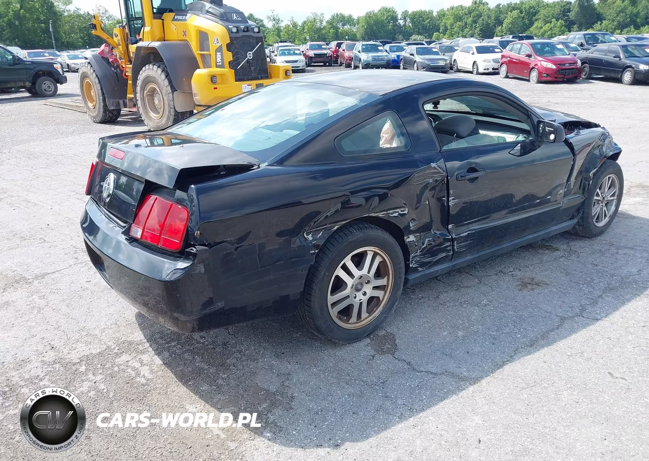 2005 Ford Mustang V6 Deluxe-V6 Premium VIN:1ZVHT80N555241726 - 4