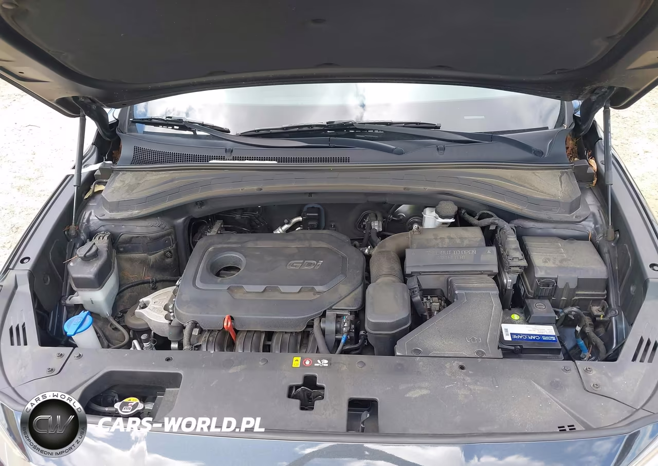 2020 Hyundai Santa Fe Sel VIN:5NMS33AD6LH189499 - 10