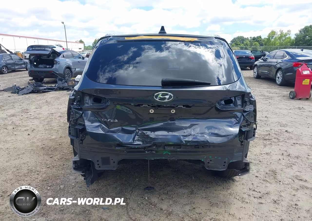2020 Hyundai Santa Fe Sel VIN:5NMS33AD6LH189499 - 17