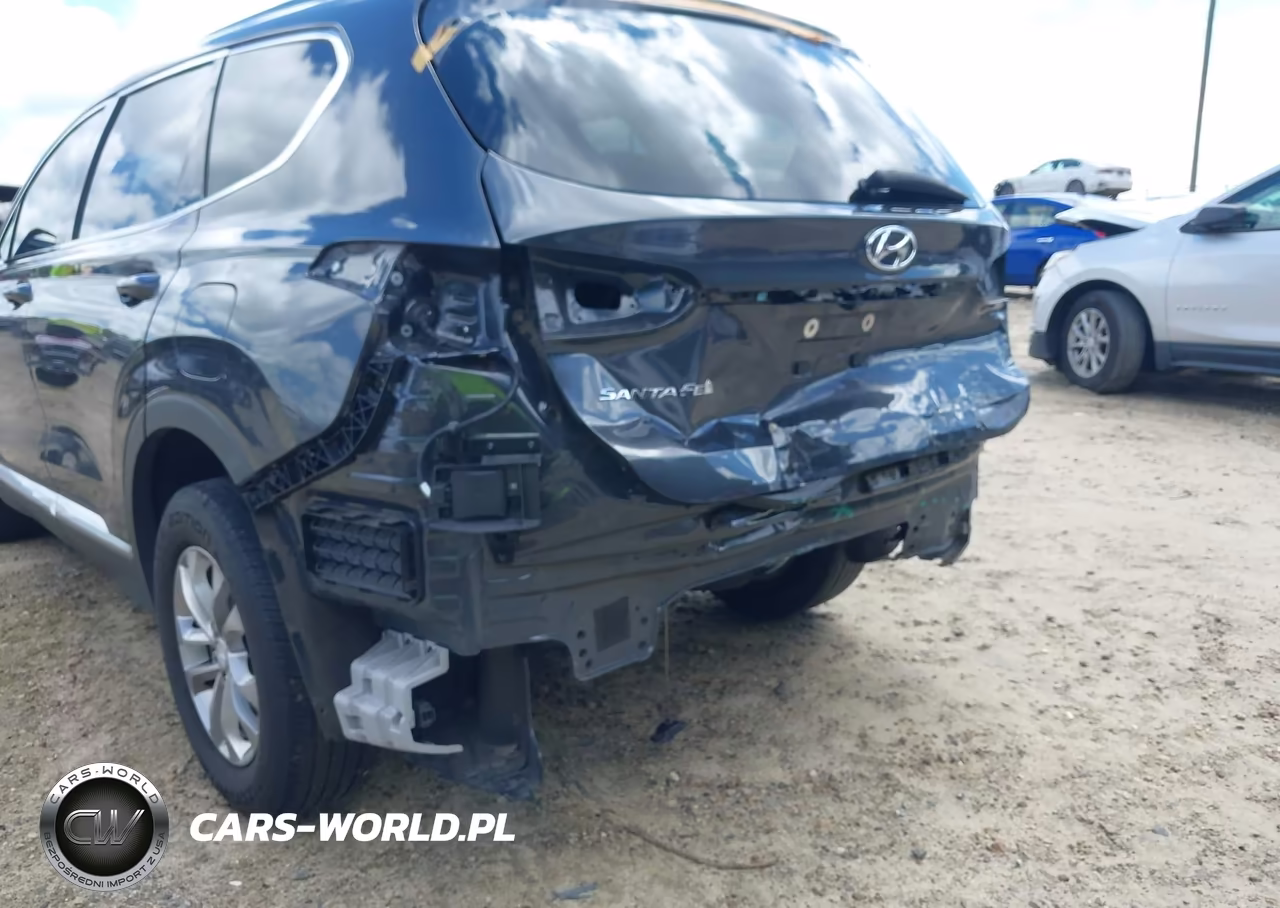 2020 Hyundai Santa Fe Sel VIN:5NMS33AD6LH189499 - 6