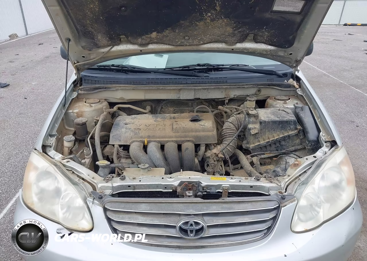 2004 Toyota Corolla Ce VIN:JTDBR32E642025097 - 10