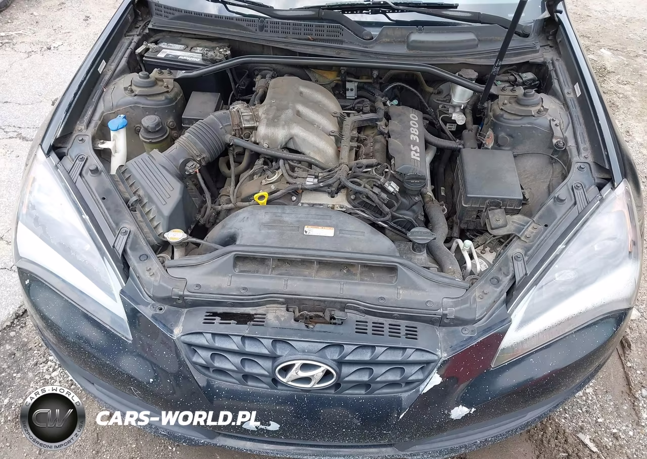 2010 Hyundai Genesis 3.8 Track VIN:KMHHU6KH3AU027972 - 10