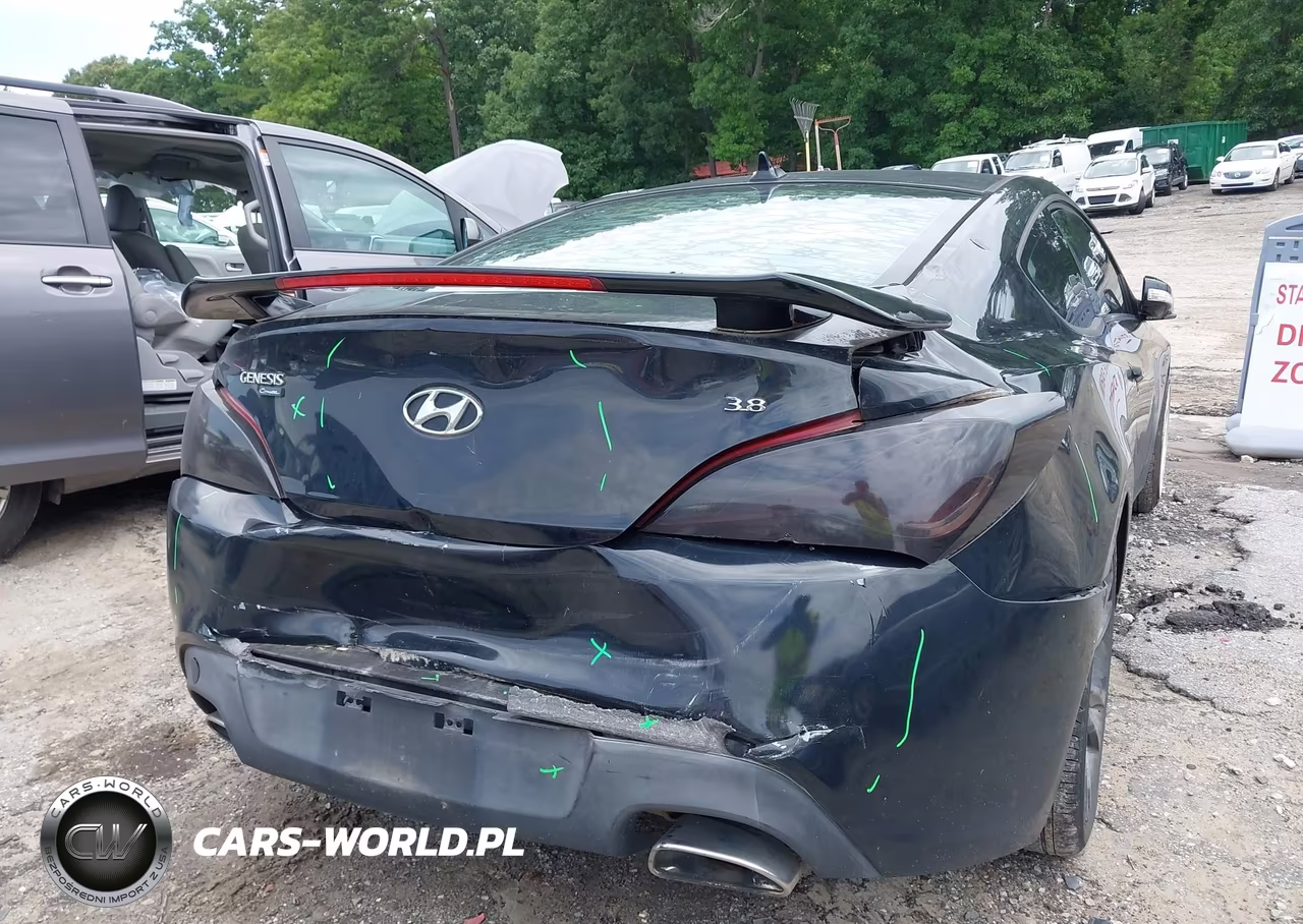 2010 Hyundai Genesis 3.8 Track VIN:KMHHU6KH3AU027972 - 6