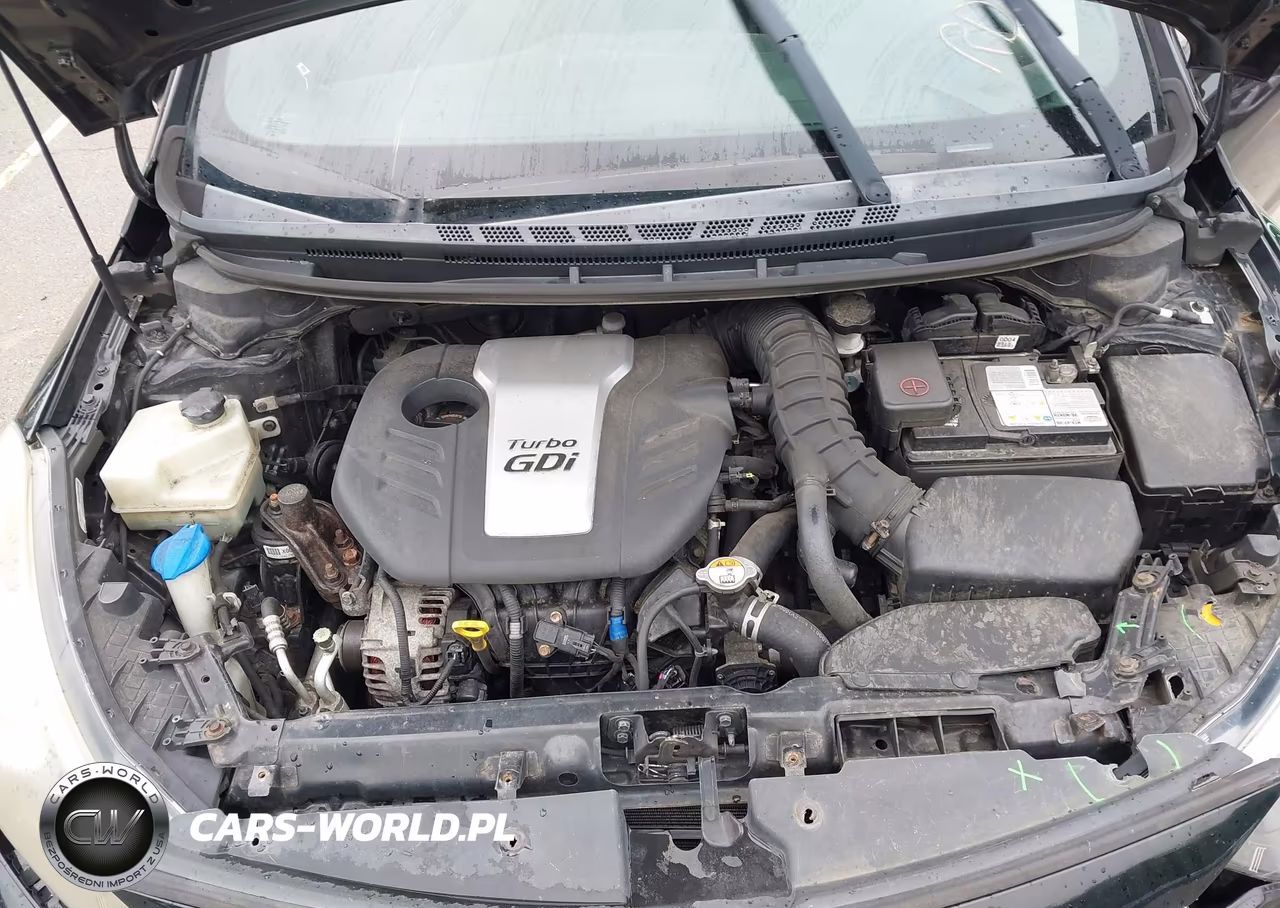 2016 Kia Forte Sx VIN:KNAFZ5A39G5494813 - 10