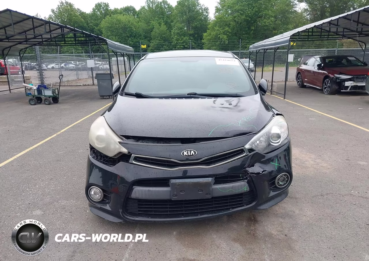 2016 Kia Forte Sx VIN:KNAFZ5A39G5494813 - 12