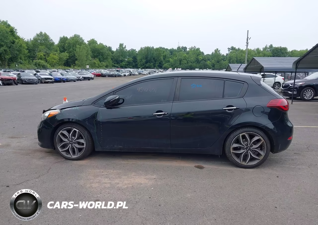 2016 Kia Forte Sx VIN:KNAFZ5A39G5494813 - 14