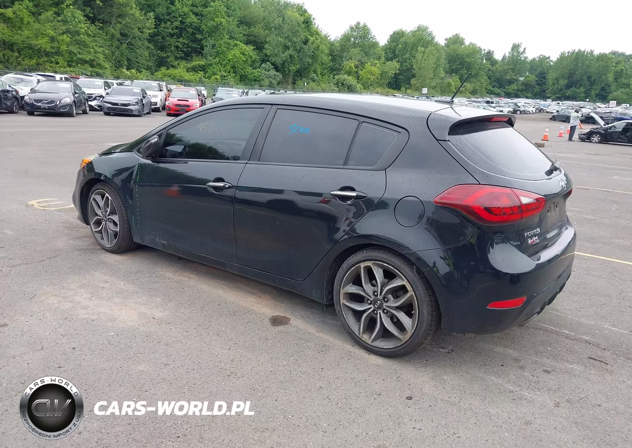 2016 Kia Forte Sx VIN:KNAFZ5A39G5494813 - 3