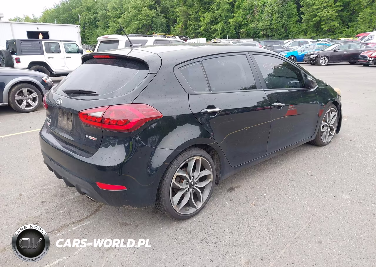 2016 Kia Forte Sx VIN:KNAFZ5A39G5494813 - 4