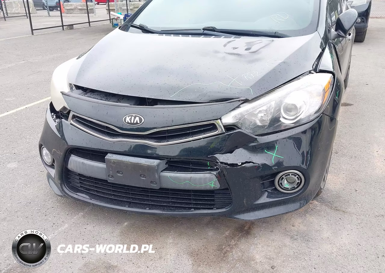2016 Kia Forte Sx VIN:KNAFZ5A39G5494813 - 6