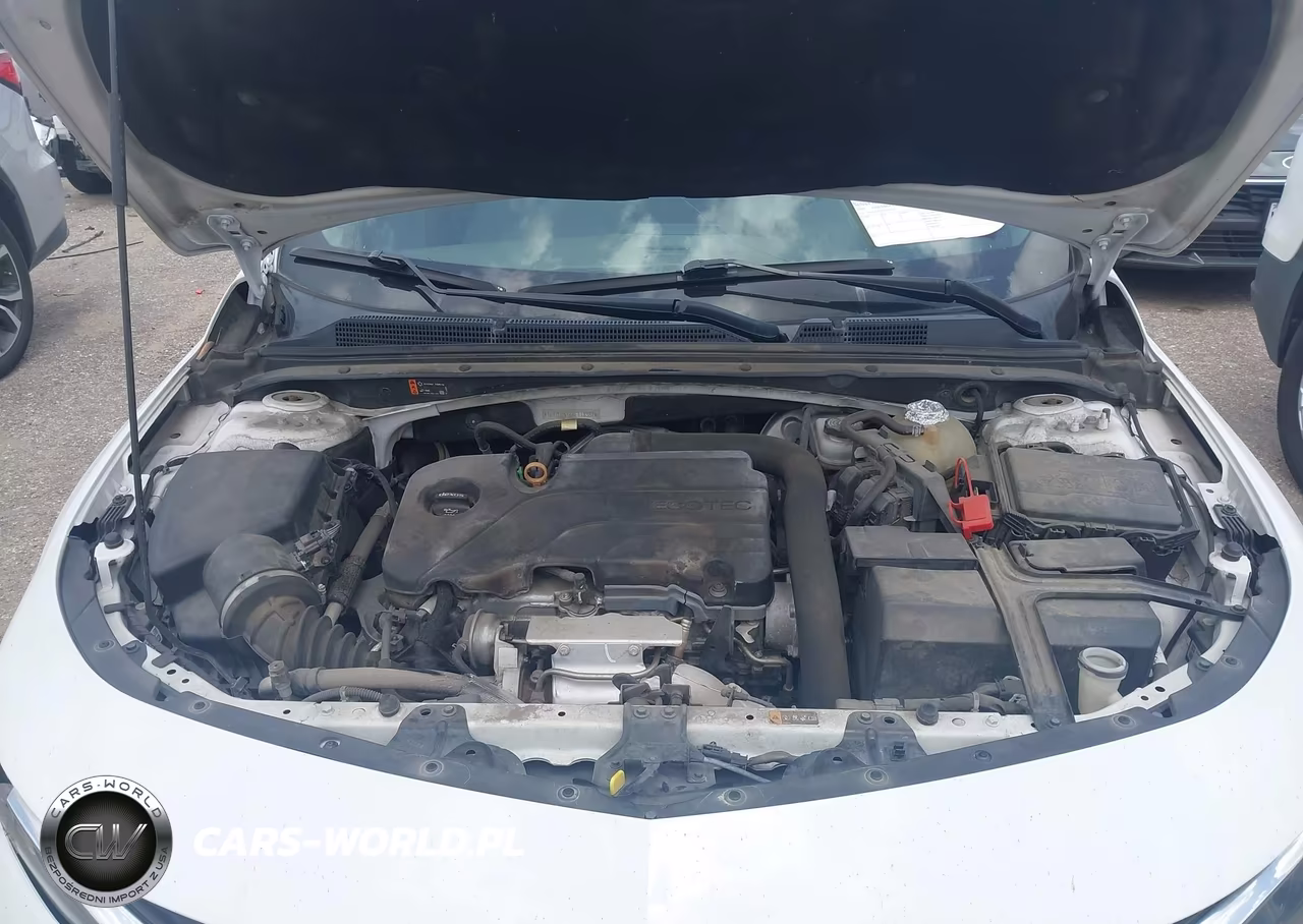 2019 Chevrolet Malibu Lt VIN:1G1ZD5ST6KF118367 - 10