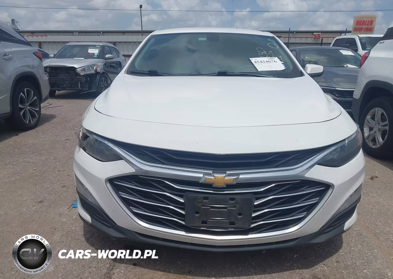 2019 Chevrolet Malibu Lt VIN:1G1ZD5ST6KF118367 - 12
