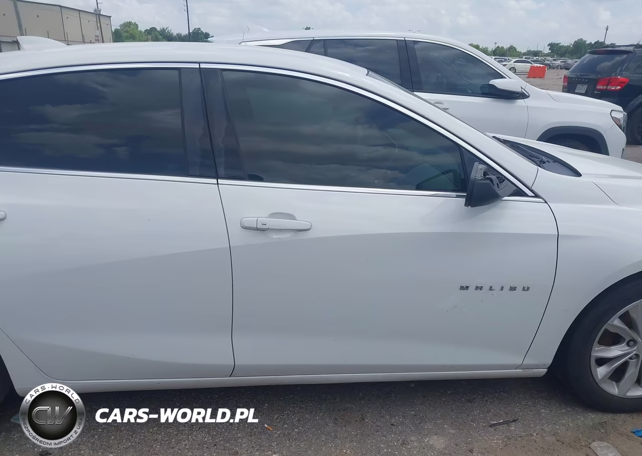 2019 Chevrolet Malibu Lt VIN:1G1ZD5ST6KF118367 - 13