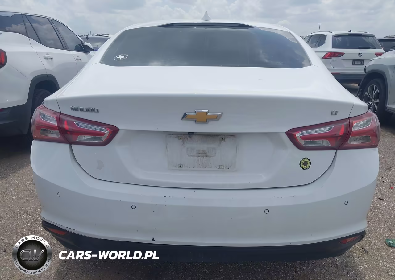 2019 Chevrolet Malibu Lt VIN:1G1ZD5ST6KF118367 - 16