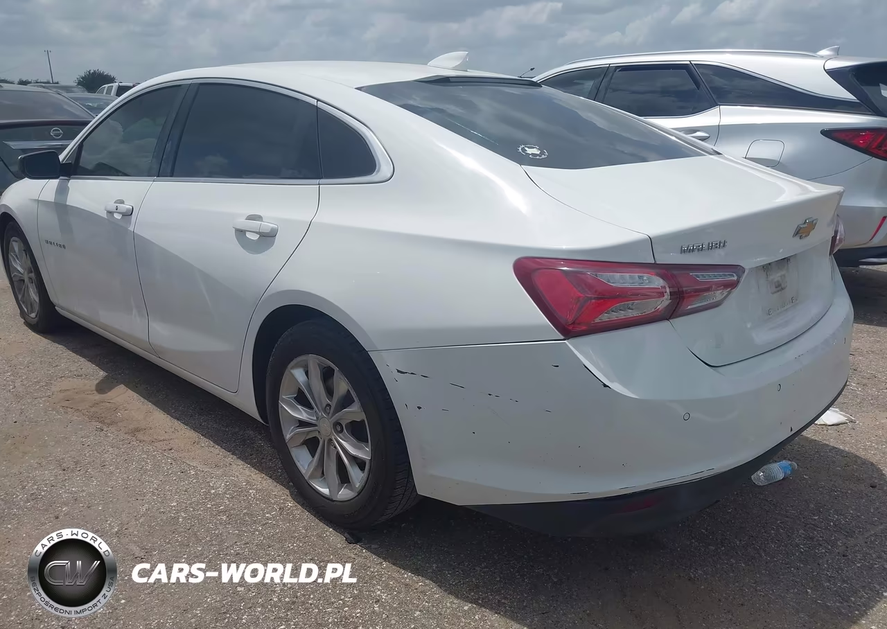 2019 Chevrolet Malibu Lt VIN:1G1ZD5ST6KF118367 - 3