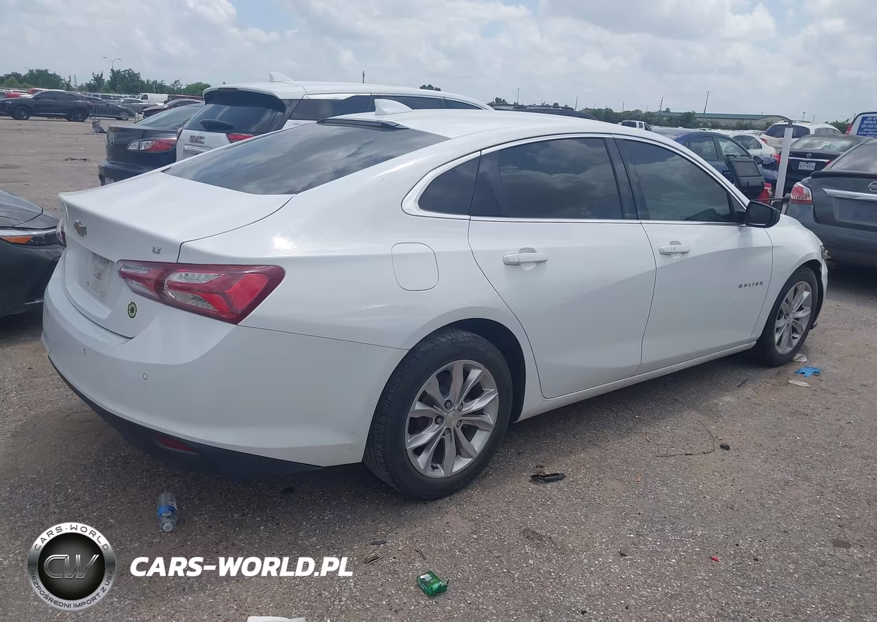 2019 Chevrolet Malibu Lt VIN:1G1ZD5ST6KF118367 - 4
