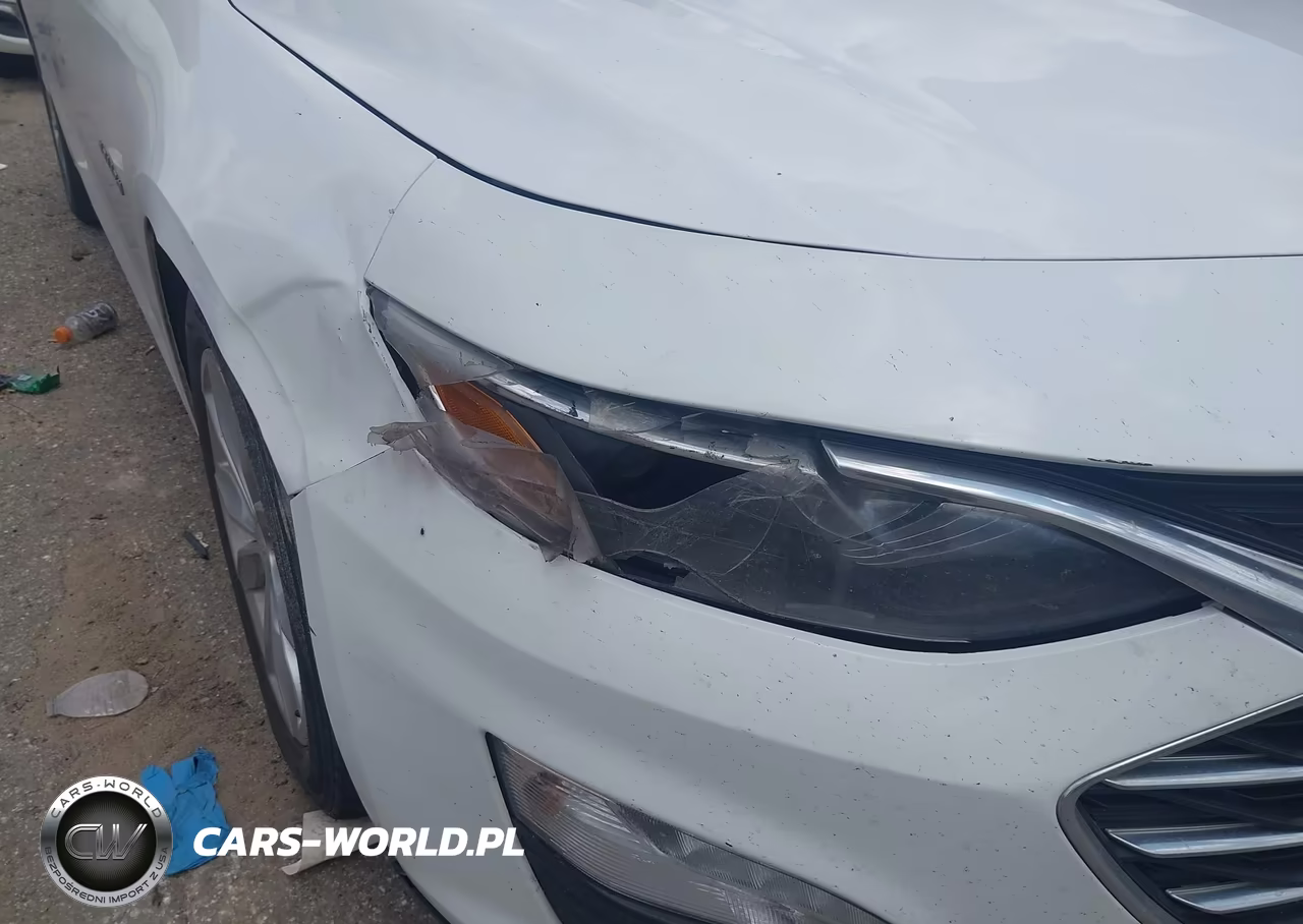2019 Chevrolet Malibu Lt VIN:1G1ZD5ST6KF118367 - 6