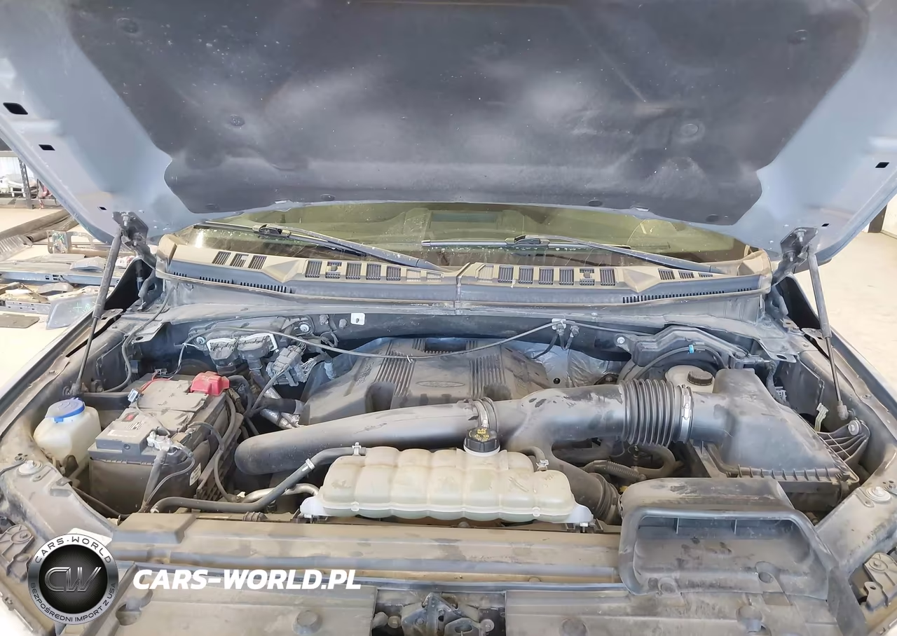 2019 Ford F-150 Xlt VIN:1FTFW1E43KKE37363 - 10