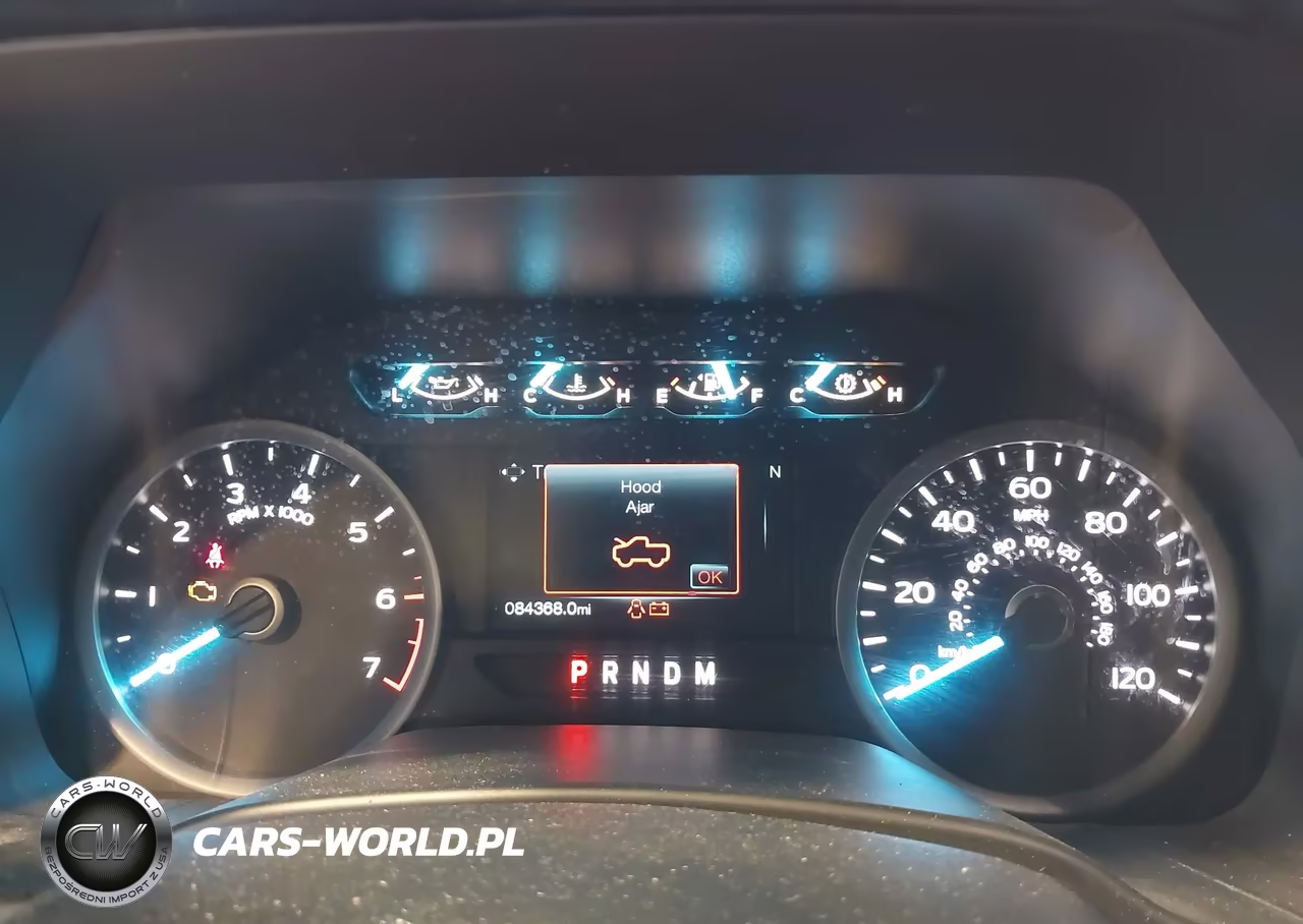 2019 Ford F-150 Xlt VIN:1FTFW1E43KKE37363 - 7