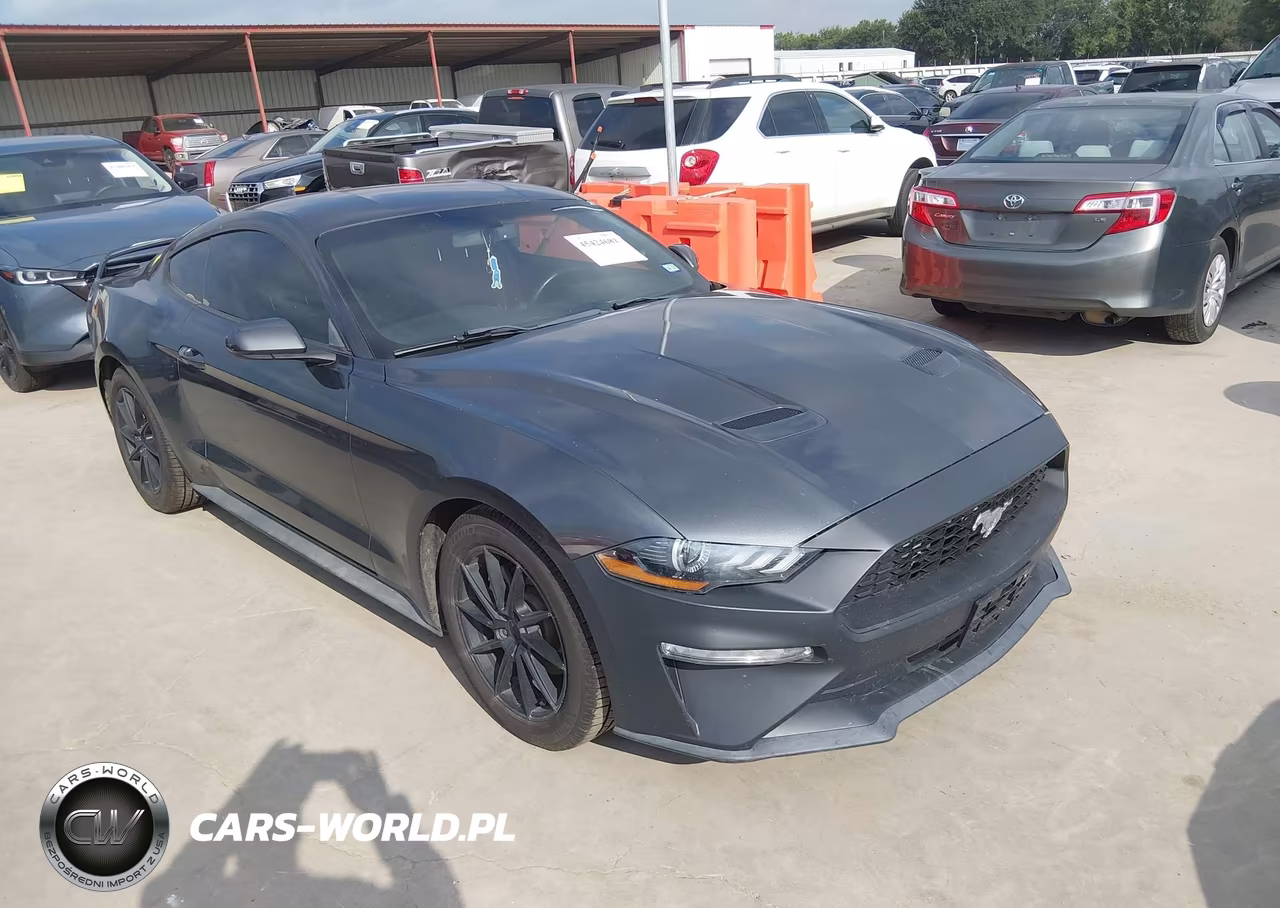 2019 Ford Mustang Ecoboost
