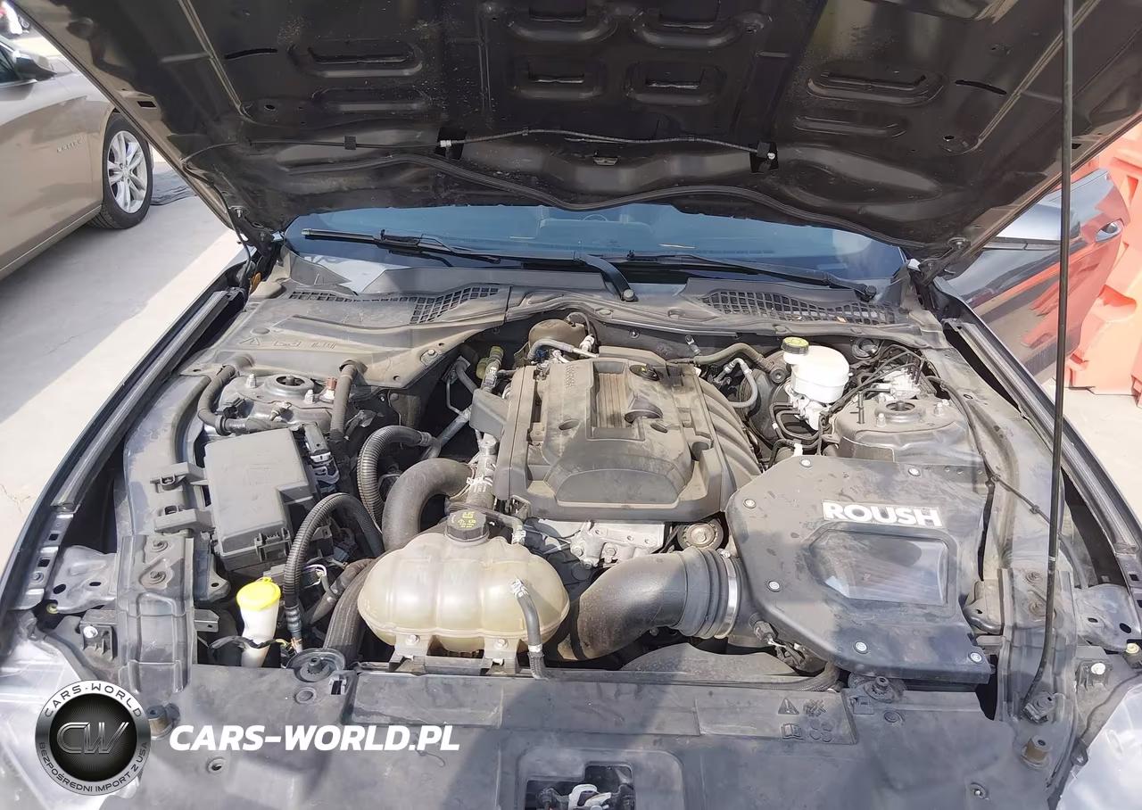 2019 Ford Mustang Ecoboost VIN:1FA6P8TH5K5185485 - 10