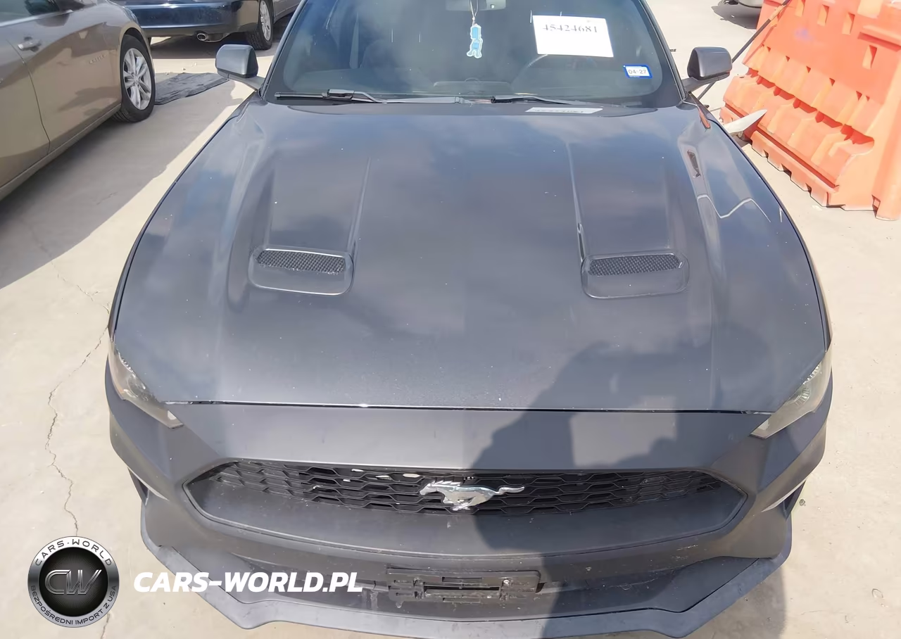 2019 Ford Mustang Ecoboost VIN:1FA6P8TH5K5185485 - 12