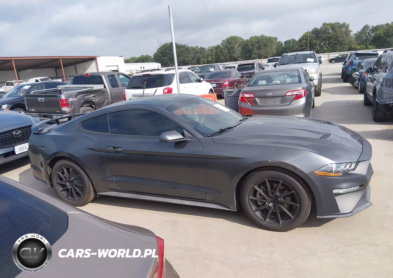 2019 Ford Mustang Ecoboost VIN:1FA6P8TH5K5185485 - 13
