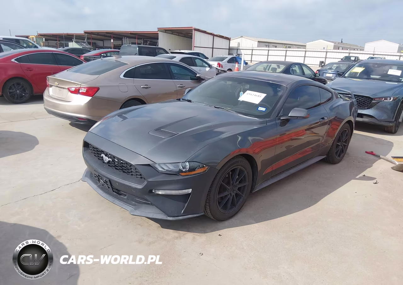 2019 Ford Mustang Ecoboost VIN:1FA6P8TH5K5185485 - 2