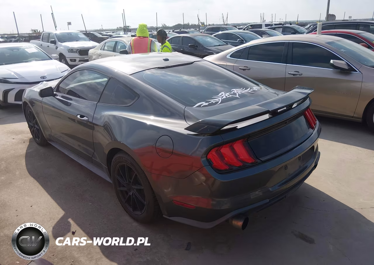 2019 Ford Mustang Ecoboost VIN:1FA6P8TH5K5185485 - 3