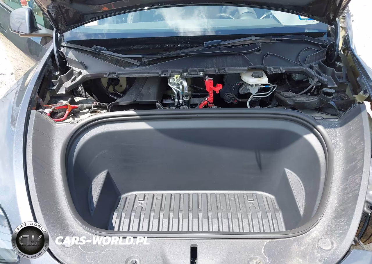 2023 Tesla Model Y Awd-Long Range Dual Motor All-Wheel Drive VIN:7SAYGDEE9PA162733 - 10