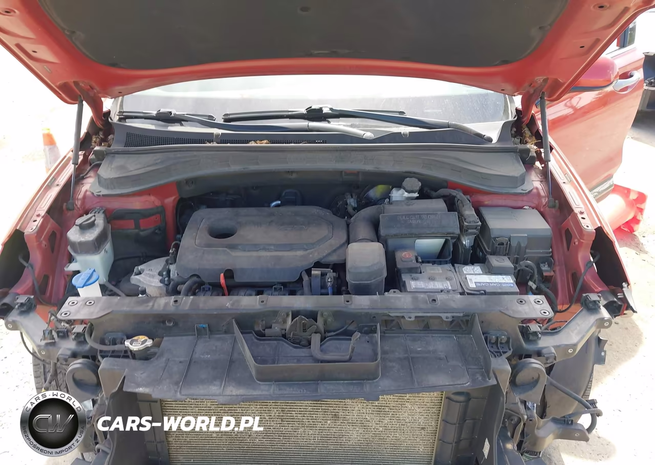 2019 Hyundai Santa Fe Sel Plus VIN:5NMS3CAD3KH063776 - 10