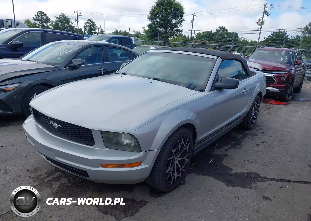 2005 Ford Mustang VIN:1ZVHT84N155175640 - 2