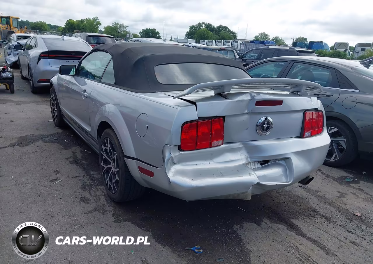 2005 Ford Mustang VIN:1ZVHT84N155175640 - 3