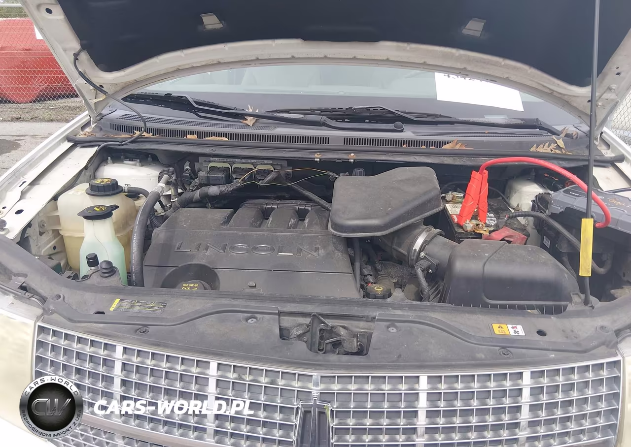2009 Lincoln Mkx VIN:2LMDU68C99BJ04702 - 10