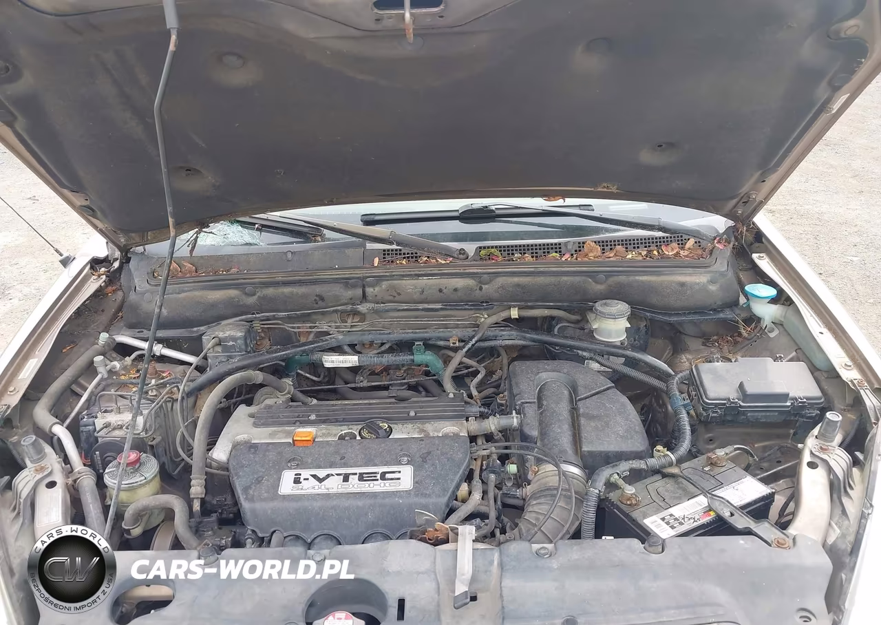 2002 Honda Cr-V Ex VIN:SHSRD78852U002046 - 10