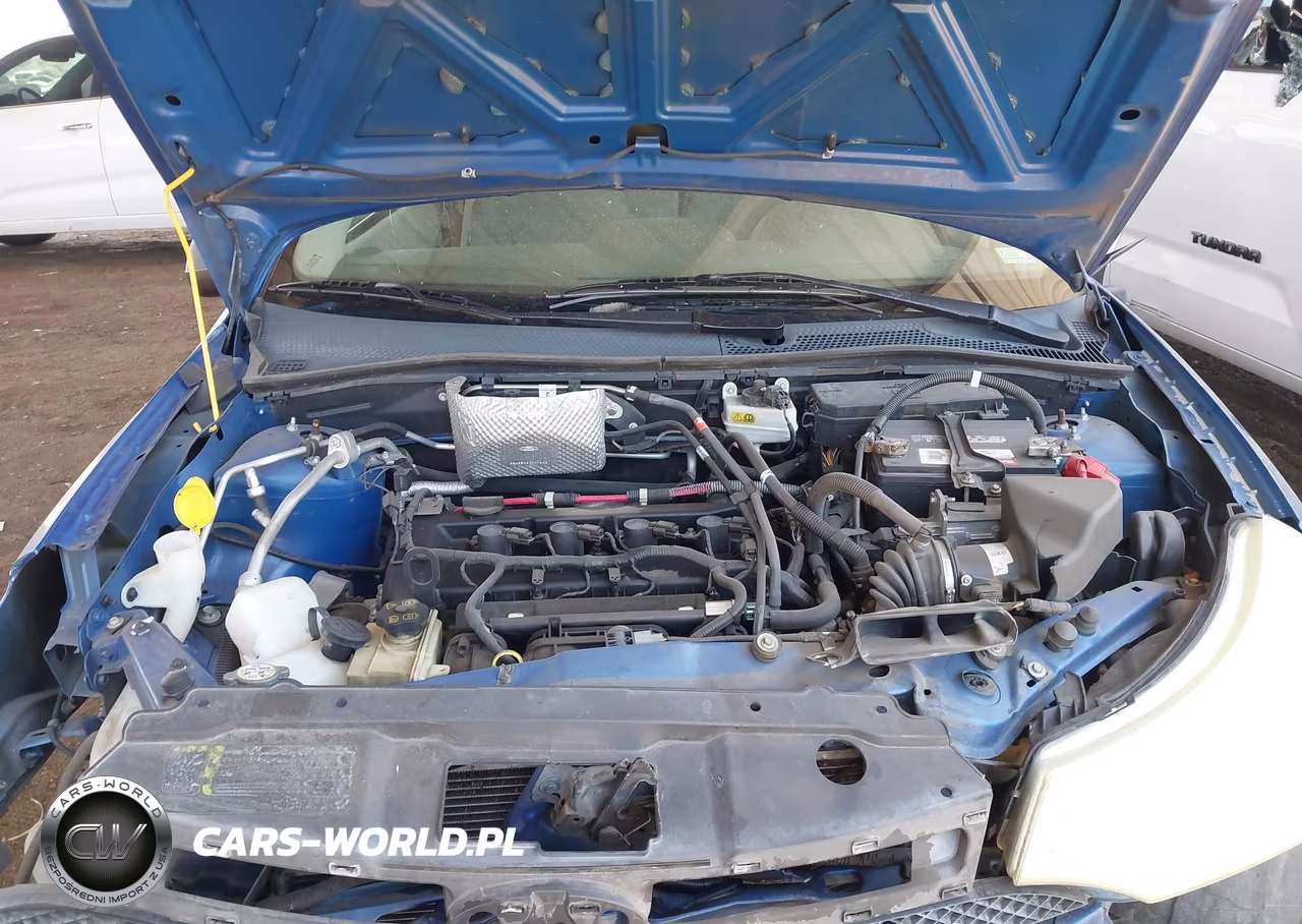 2010 Ford Focus S VIN:1FAHP3EN4AW221366 - 10