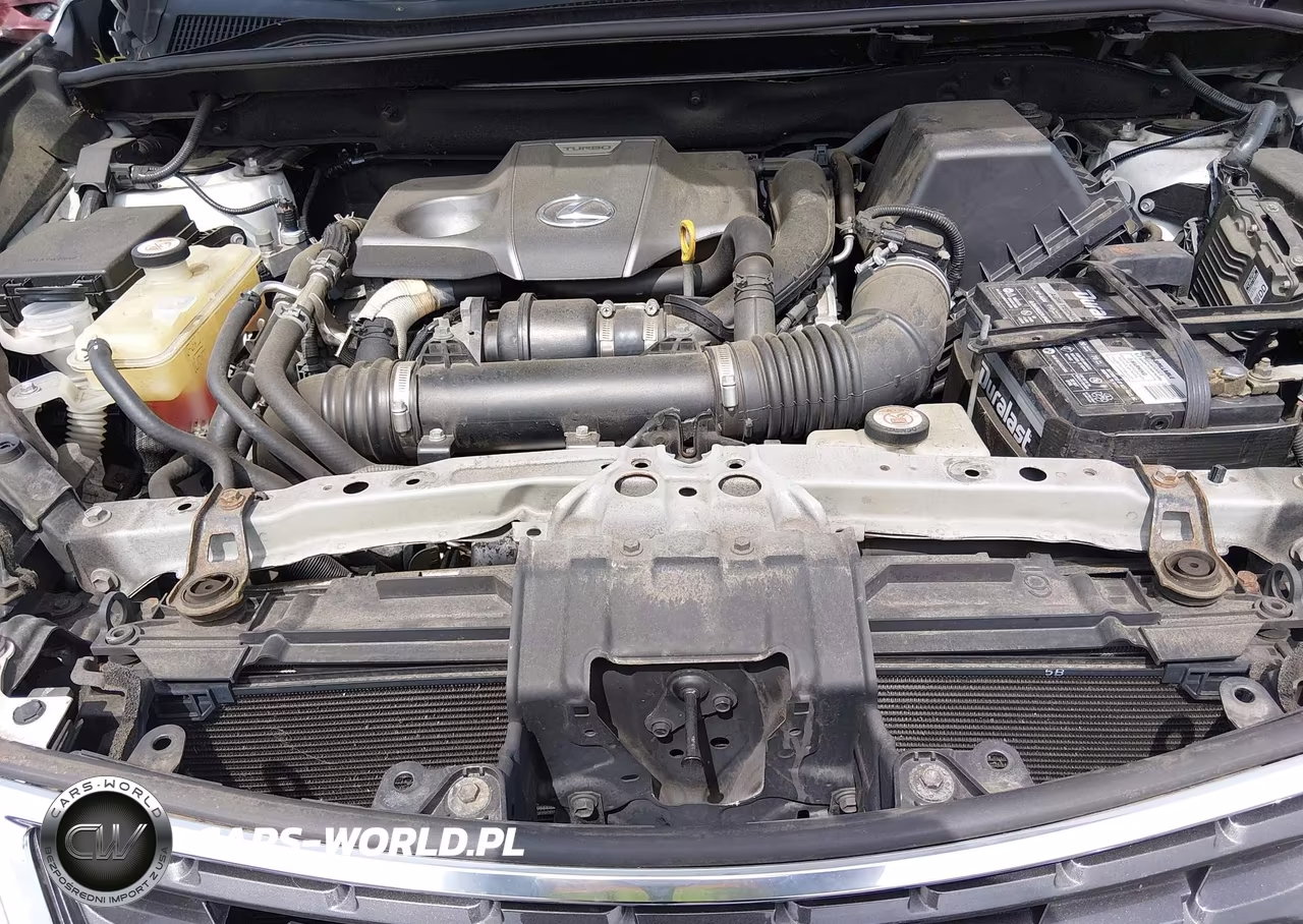 2019 Lexus Nx 300 VIN:JTJBARBZ0K2181269 - 10