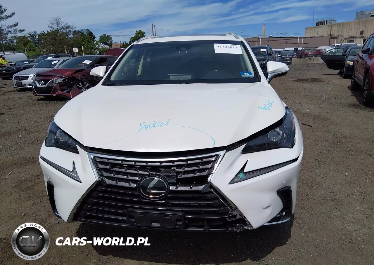 2019 Lexus Nx 300 VIN:JTJBARBZ0K2181269 - 12