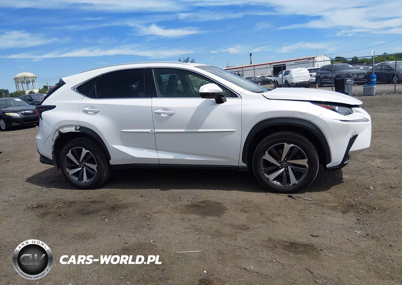 2019 Lexus Nx 300 VIN:JTJBARBZ0K2181269 - 13