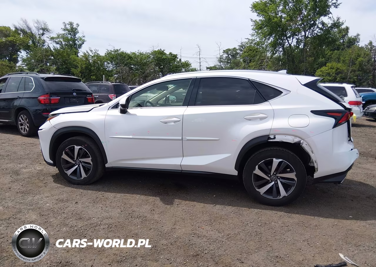 2019 Lexus Nx 300 VIN:JTJBARBZ0K2181269 - 14