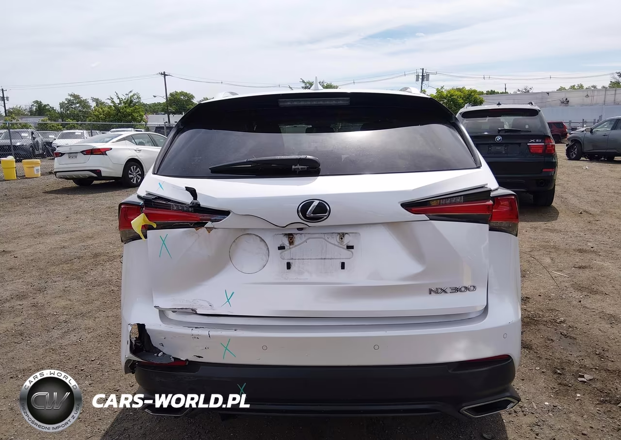 2019 Lexus Nx 300 VIN:JTJBARBZ0K2181269 - 16