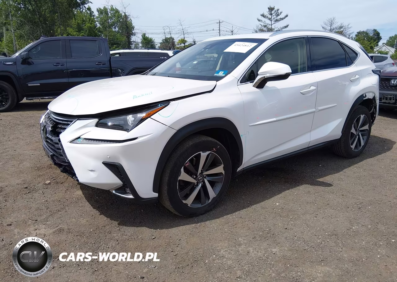 2019 Lexus Nx 300 VIN:JTJBARBZ0K2181269 - 2