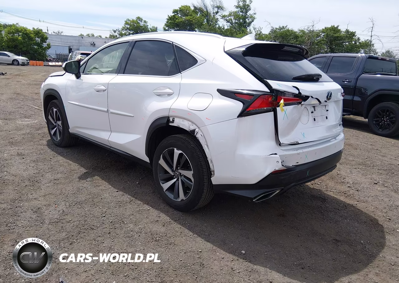 2019 Lexus Nx 300 VIN:JTJBARBZ0K2181269 - 3
