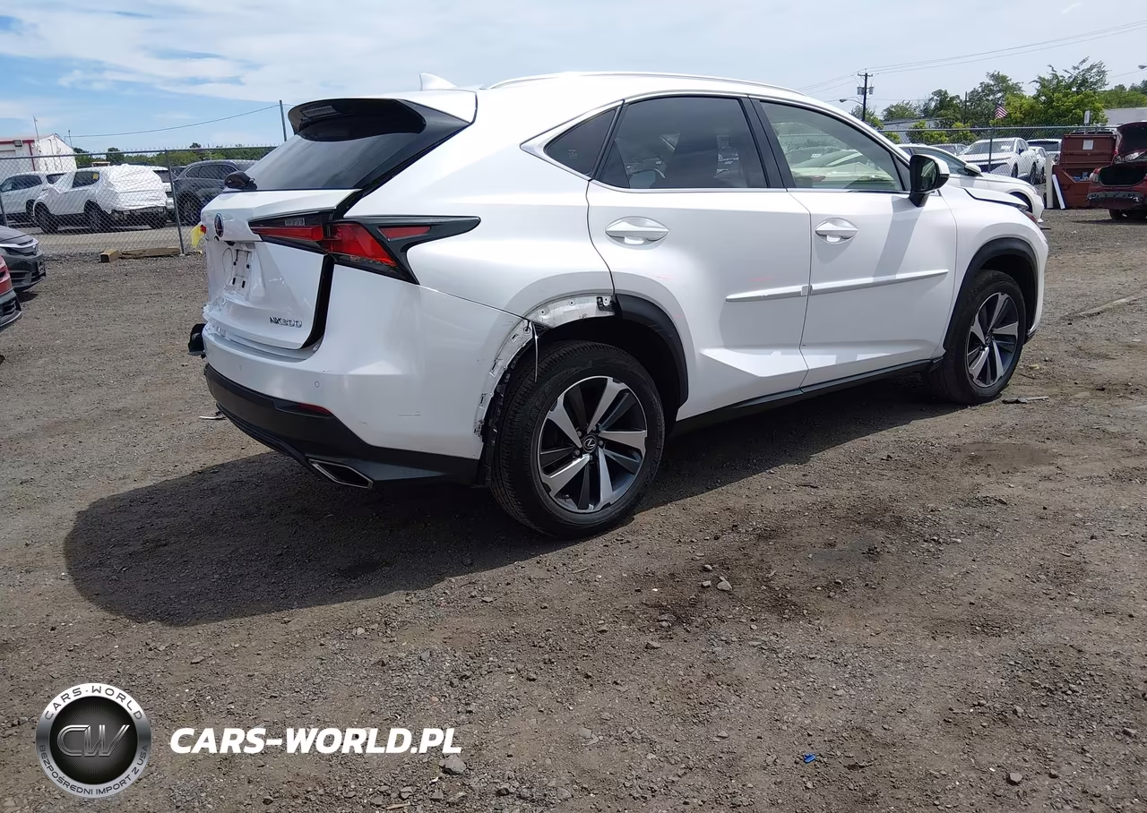 2019 Lexus Nx 300 VIN:JTJBARBZ0K2181269 - 4