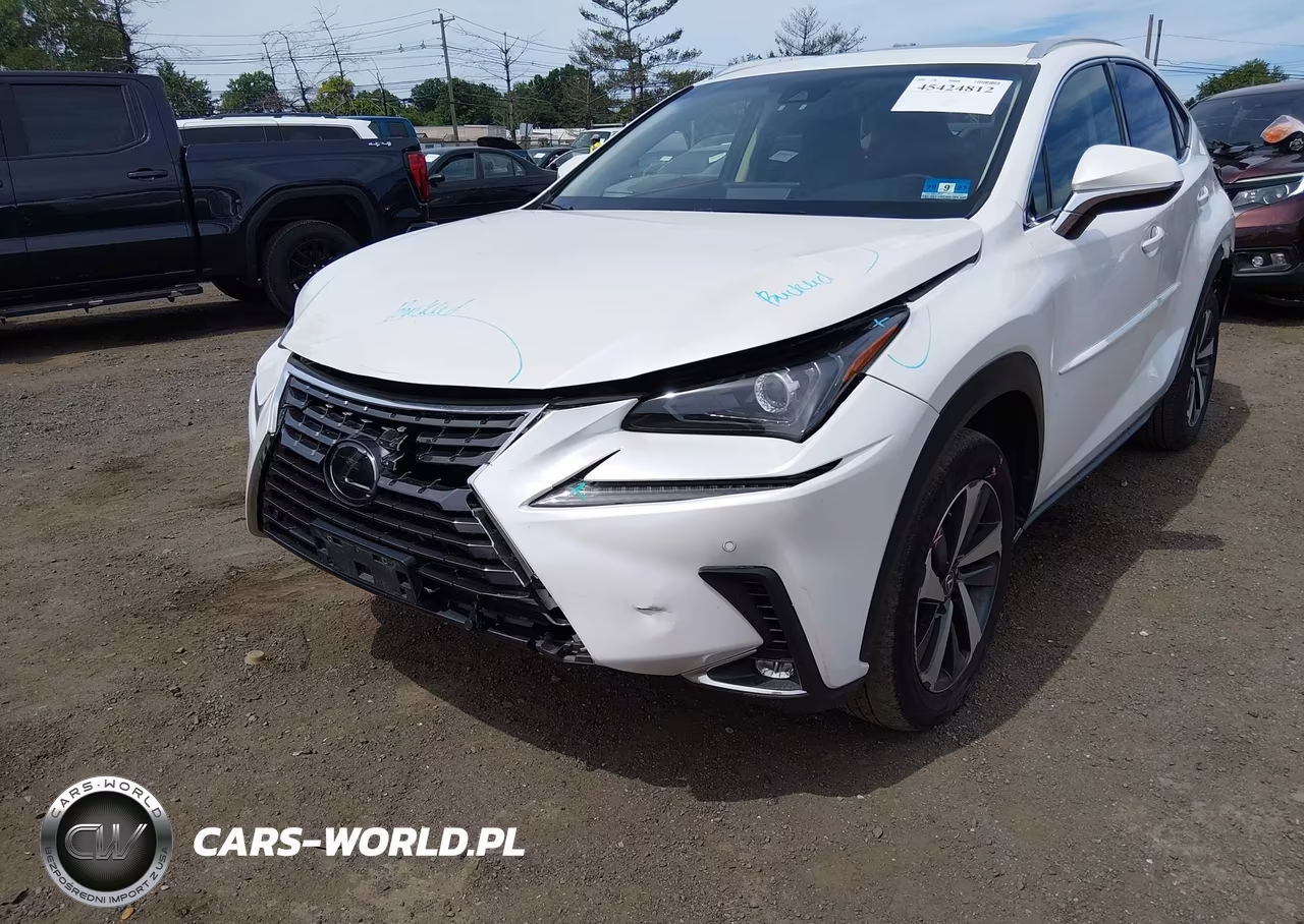 2019 Lexus Nx 300 VIN:JTJBARBZ0K2181269 - 6