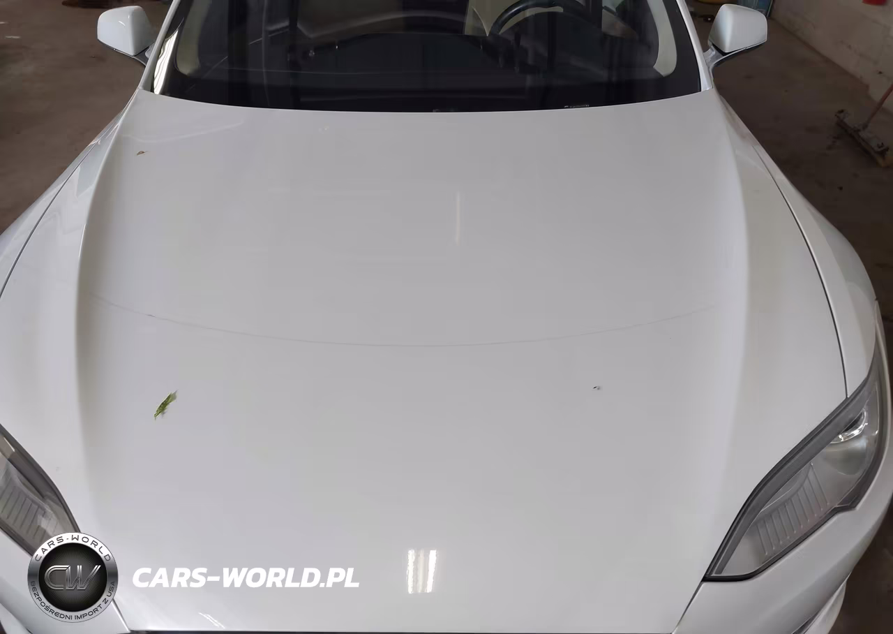 2012 Tesla Model S Performance-Signature Performance VIN:5YJSA1CPXCFP01820 - 10